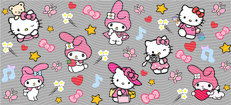 16oz Sanrio-K 171